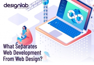 What separates web development from web design?